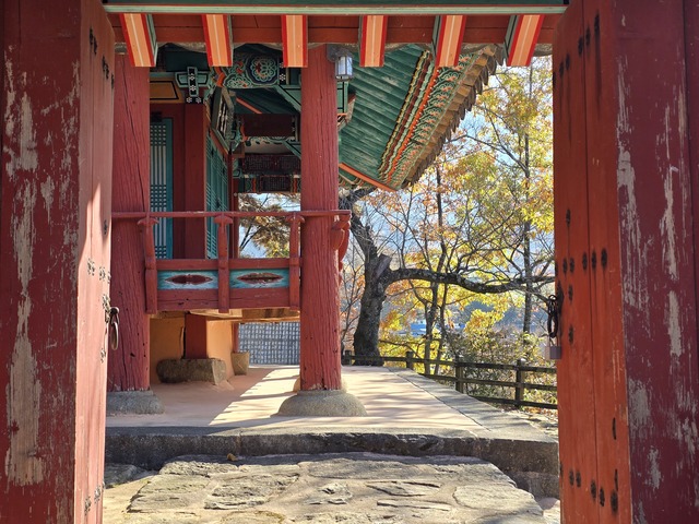 산수유 열매가 익어가는 산수유 마을길