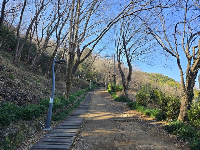 구례읍 봉성산 등산로