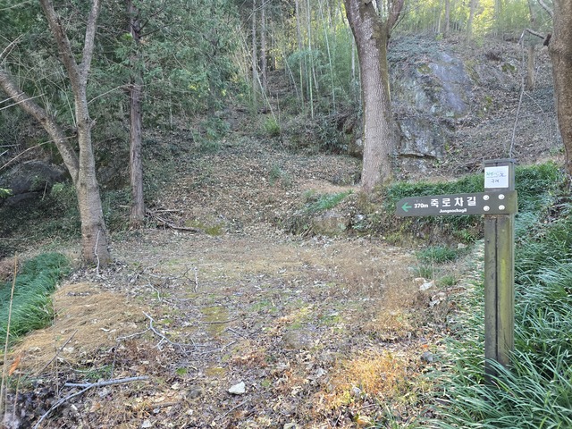 구례읍 봉성산 등산로