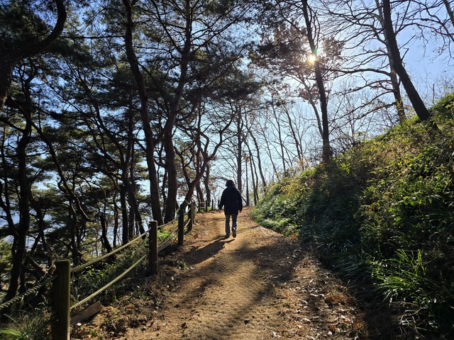 구례읍 봉성산 등산로