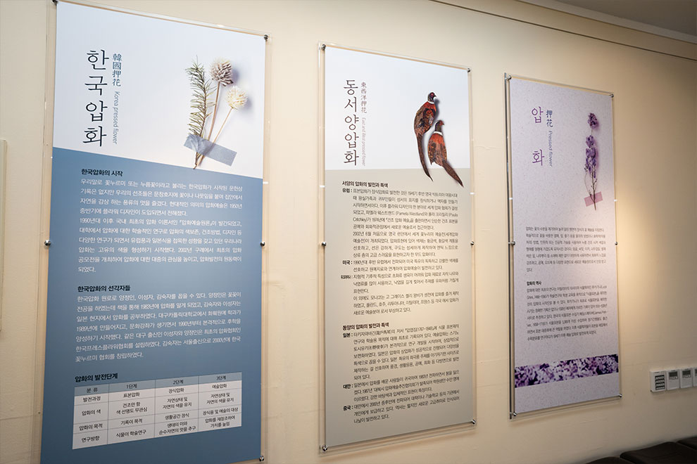 韩国压花博物馆
