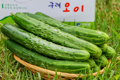 Best quality Gurye cucumber